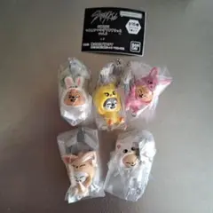 SKZOO つまんでつなげてますこっとvol.2 　5つセット