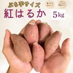 最高糖度☆ぷち芋 紅はるか 訳あり 5kg さつまいも 734のサムネイル