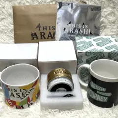 新品】嵐を旅する展覧会 スノードーム チェンジングマグカップ - メルカリ