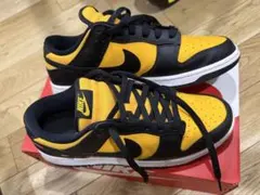 NIKE DUNK LOWのサムネイル
