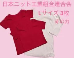 【日本ニット工業組合連合会インナー3枚セット】Lサイズ 赤の力