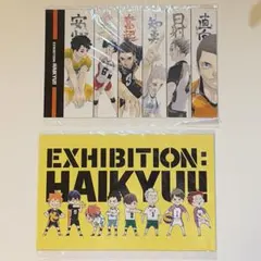 【新品 未開封】ハイキュー‼︎原画展 大判ポストカード 2点セット