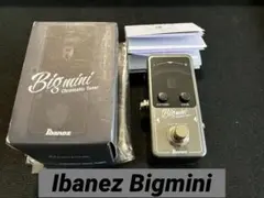 Ibanez Bigmini Chromatic Tuner 本体のサムネイル