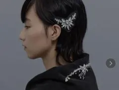 2026年最新】tanaka daisuke バレッタの人気アイテム - メルカリ