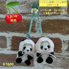 シャオたん♡レイたん♡応援グッズ☆いつも一緒♡さくらんぼ変身コスチューム