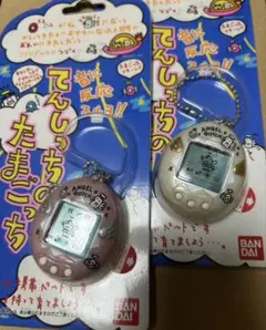 てんしっちのたまごっち　2個