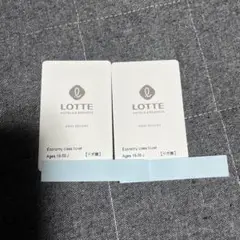ロッテアライリゾート　エコノミークラス　ゴンドラ・リフト1日券　2枚セット ロッテアライリゾート 1日リフト券 2枚 ロッテアライリゾート
