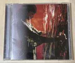 安室奈美恵 「Concentration 20」 - メルカリ