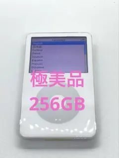 iPod classic 第5世代 HDD30GBからSD256GBにスケルトン - メルカリ