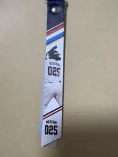 ヤクルトスワローズ 根岸選手 ファン感限定ボンフィン