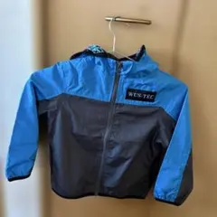 Item thumbnail for item 2037babc-498b-4a91-b18c-4dc2c8fbe3fa