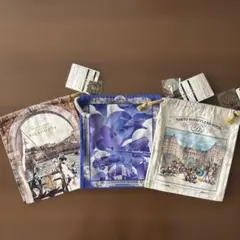 ディズニーリゾート　ホテル巾着 3点セット