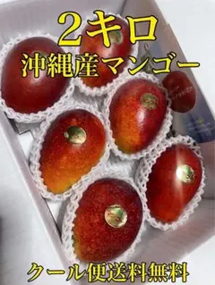 46沖縄県産マンゴー☆2kgクール代込☆説明文呼んで下さい 46沖縄県産マンゴー☆2kgクール代込☆説明文呼んで下さい - メルカリ