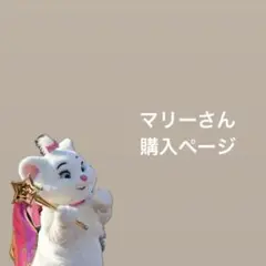 【購入ページ】