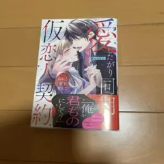 Ryoko 愛したがり同期と仮恋人契約