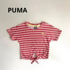 PUMA ボーダーTシャツ　裾結び　120のサムネイル
