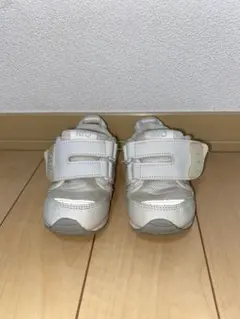 Item thumbnail for item 710d09f7-653a-4676-a24c-65269f0c9a56