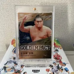 Item thumbnail for item 9a11e863-6408-49e8-8801-4e8d41653e6a