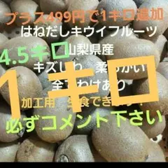 キウイ　はねだし　4.５キロ　山梨県産