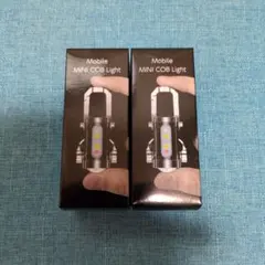 Item thumbnail for item 278487d6-239e-4fdf-b898-1aa54d42ecf0