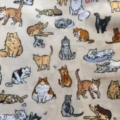 Vera Bradley 生地　厚手ナイロン