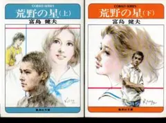荒野の星 上下 集英社文庫 富島健夫 昭和54年第1刷 やけ 微しみ 