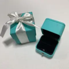 ティファニー　リングケース ティファニー TIFFANY & CO. 美品 アクセサリーケース ペア