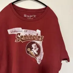 L US 古着 Ｔシャツ フロリダ大学 フットボールチーム スポーツ