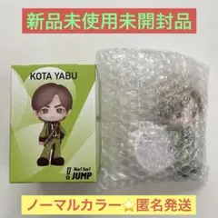 Hey! Say! JUMP フィギュア 薮宏太 メンバーカラー ノーマル 薮宏太 フィギュア Hey! Say! JUMP ノーマルカラー - メルカリ