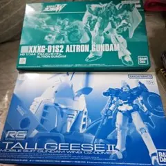 【プレバン限定】HG アルトロンガンダム ＆ RGトールギスII 2点セット