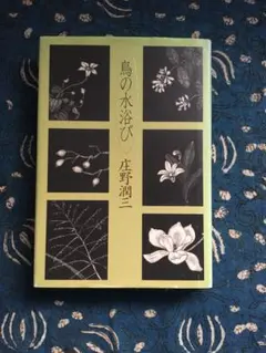 Item thumbnail for item b8449261-222d-41a9-8f9b-2dbf9877dcf7