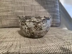 美品 たけろうポット ちぎり M 芽の巣山 植木鉢 陶器 鉢 ボタナイズ 3のサムネイル