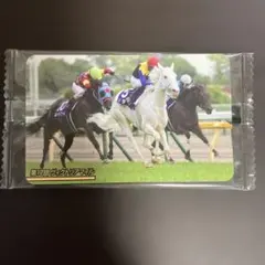 まねき馬 No.2408 第17回ヴィクトリアマイル ソダシ