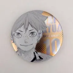 ハイキュー ファンパーク　デコレクション缶バッジ　日向翔陽