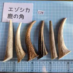 134 鹿のつの　先端　ハンドメイド資材