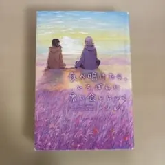 夜が明けたら、いちばんに君に会いにいく 汐見夏衛 小説 古本 スターツ出版