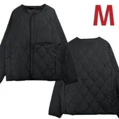 Item thumbnail for item 154b9b9e-cea4-4b59-9163-35587ba78fd8