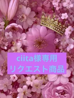 ciita様 リクエスト 2点 まとめ商品