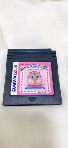 Item thumbnail for item d2a2b36c-37d1-4863-b121-92b7e8177b11