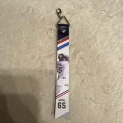 東京ヤクルトスワローズ　ボンフィン　鈴木叶