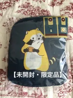 Item thumbnail for item 095f5c23-6353-4527-bf4f-6db4fb4028ff