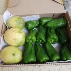 No.1。新鮮野菜詰め合わせ レモンと ピーマンのサムネイル