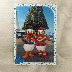 ドナルド&デイジー スペシャルフォト