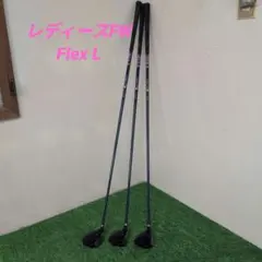 Item thumbnail for item 2e2dcb0a-7975-4fb2-a71b-cc0373b56cf3