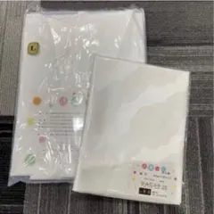 Item thumbnail for item 4729fa12-5f66-4e8a-a83c-5dc588b40f59