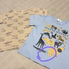 サマンサモスモス　SamansaMos2Lagom 恐竜Tシャツ　2枚セットのサムネイル