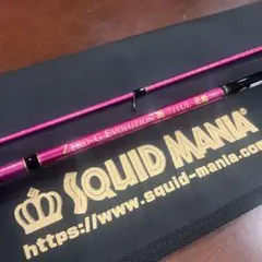2025年最新】SQUID MANIA 釣種：エギング エギングロッドの人気