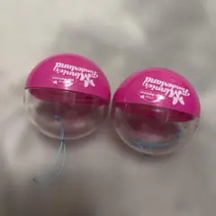 東京ディズニーランド カプセルトイ✖️2 ミニーのファンダーランド