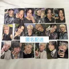 &TEAM Back to Life ROAR verコンプセット　蝶々　ソロ