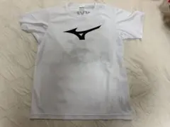 MIZUNO 日本体育大学 Tシャツ ホワイト XL非売品 - メルカリ